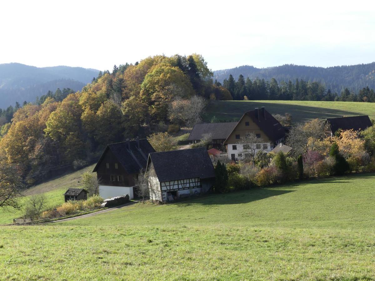 Ferienwohnung Hofenhof Schiltach Exterior photo